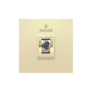 Rolex Deepsea Black Dial Ref#136660‑0004