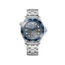 Omega Seamaster Ref# 210.30.42.20.06.001