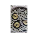 Rolex Cosmograph Daytona 116588TBR Eye of Tiger