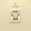 Rolex Sky-Dweller 42 Ref. 326938-0003